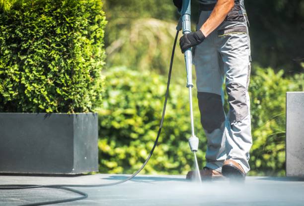 Best Residential House Exterior Washing  in USA